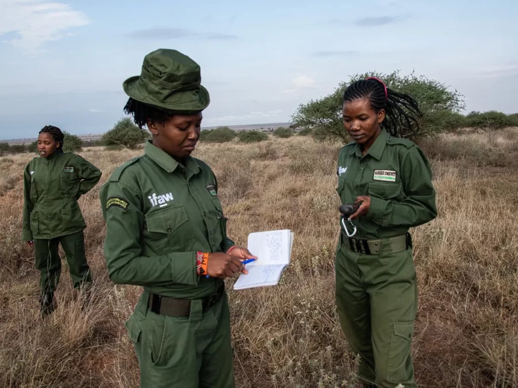World Rangers Day 2022: Get to Know Your Rangers
