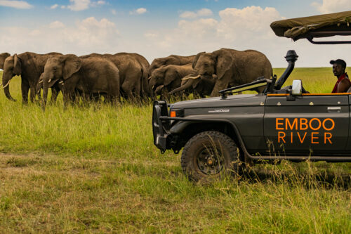 They Factor In Environmental Impact Into Their Operations