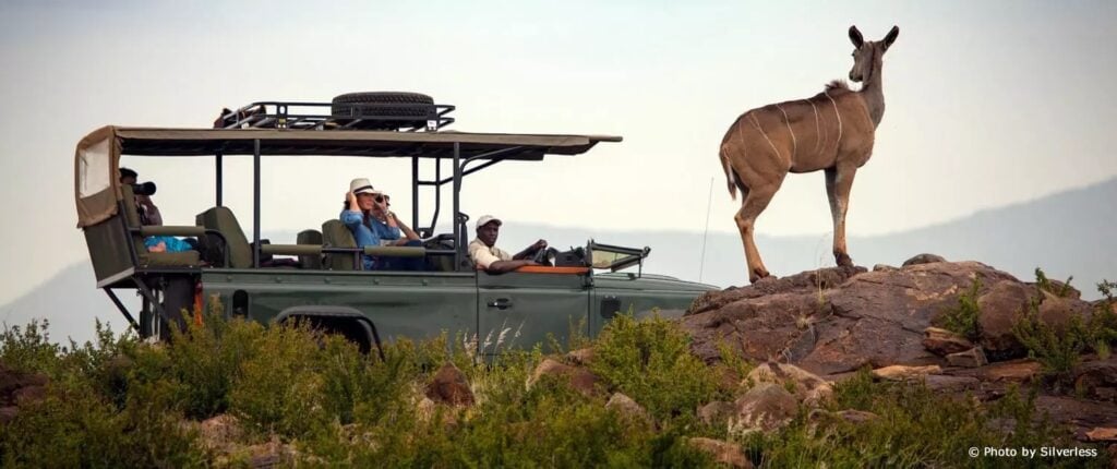Loisaba Conservancy | Northern Laikipia