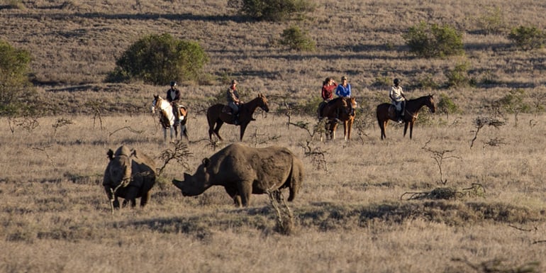 What Makes Borana Conservancy Special?