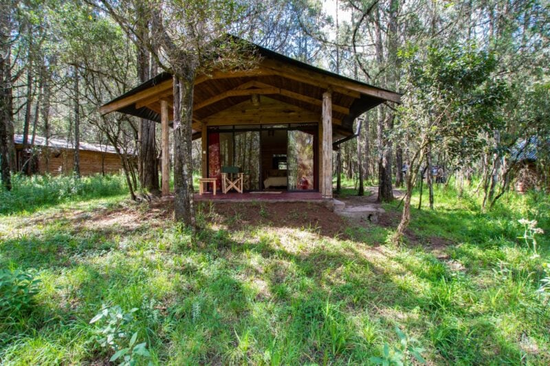 8 Unique Stays to Reconnect With Nature