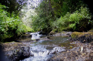 Adventurous hike along River Mathioya