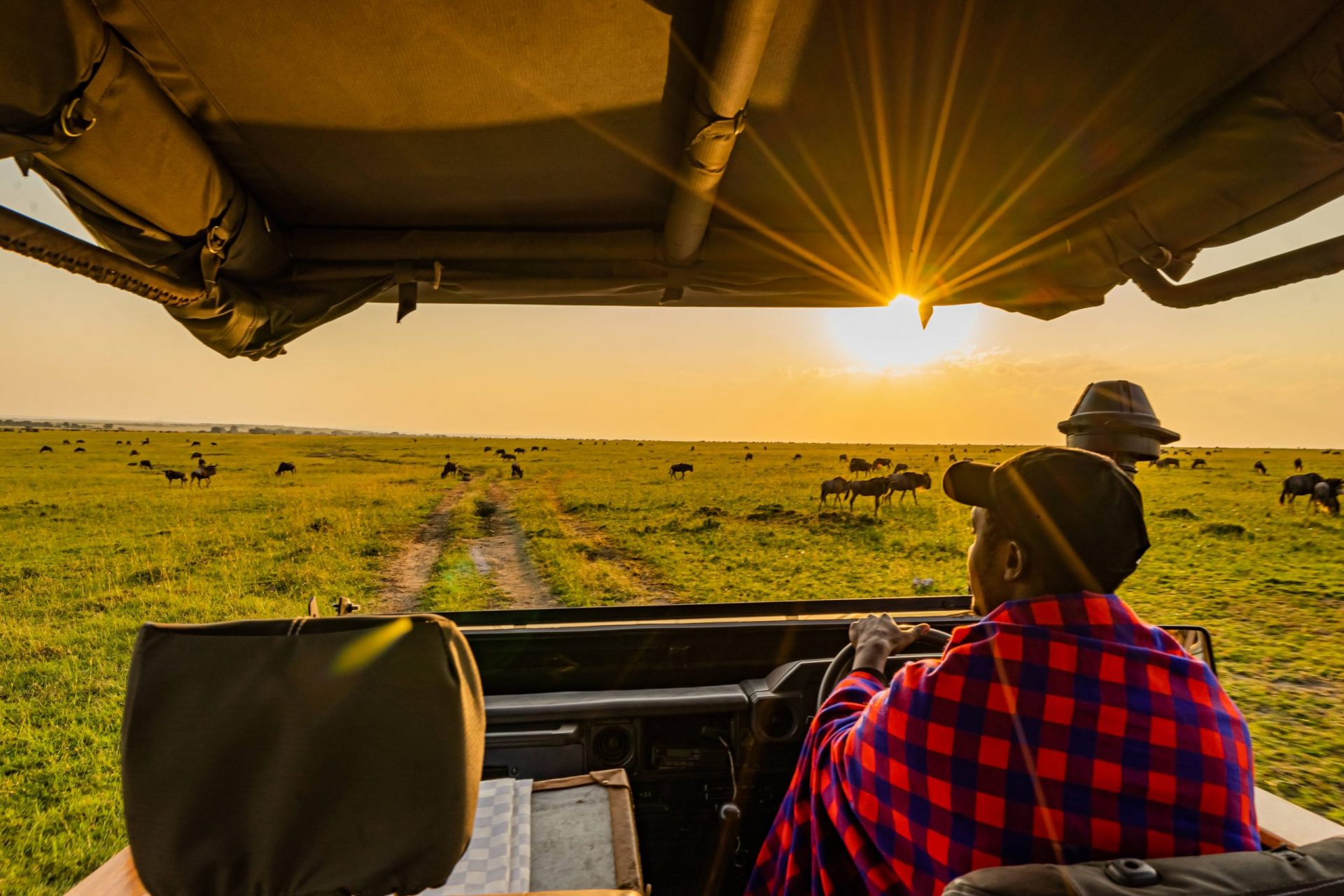 Age of the Conscious Traveller