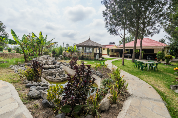 FRED’S RANCH, ISINYA