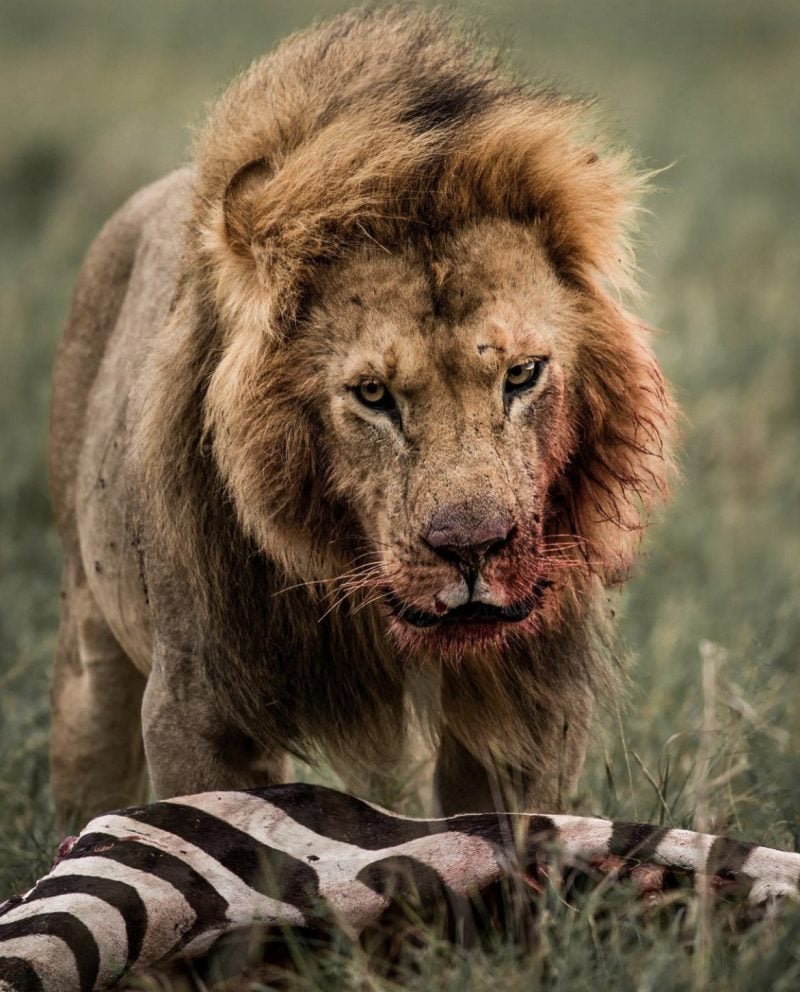 Snaps We Love by Kenyan Photographers