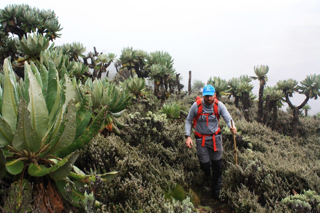 Mt Elgon National Park