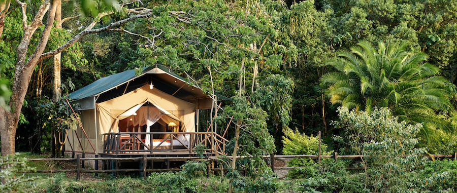 Fairmont Mara Safari Club
