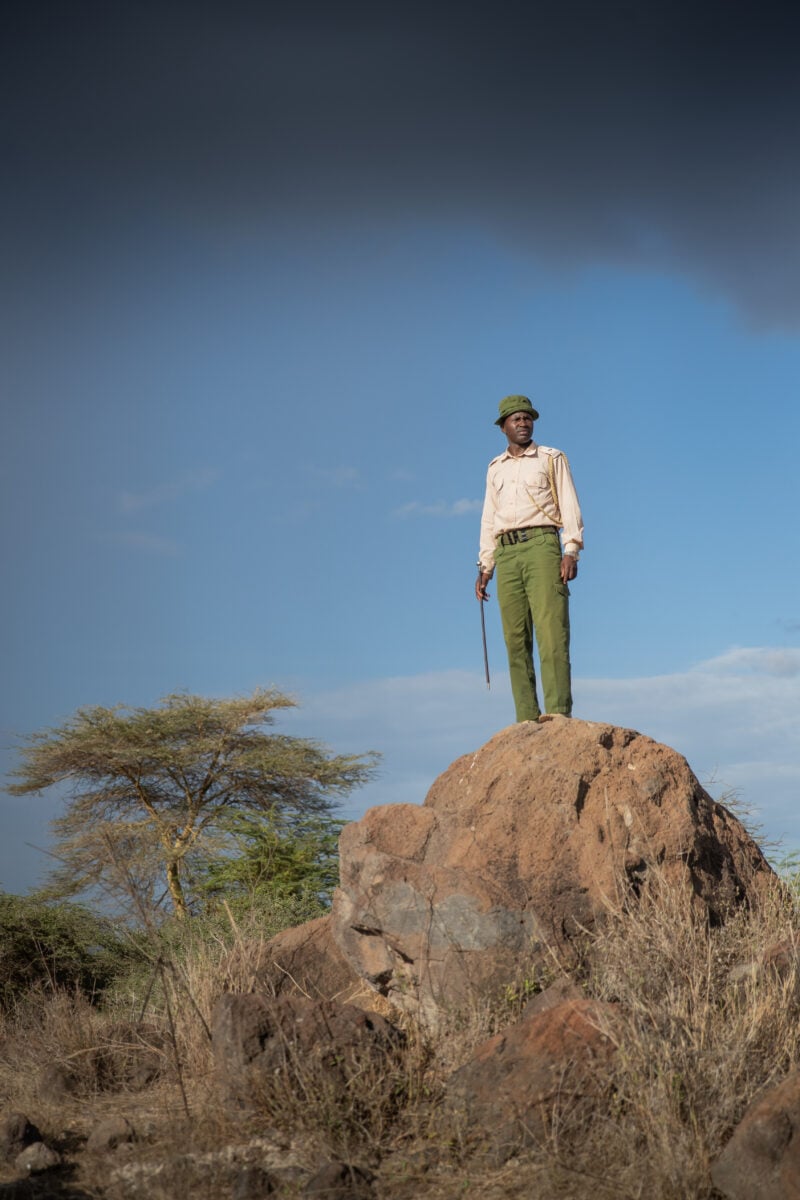 Daniel Popote: A Hero in Wildlife Conservation