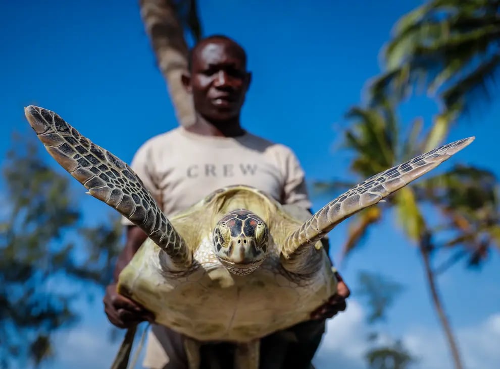 World Rangers Day 2022: Get to Know Your Rangers