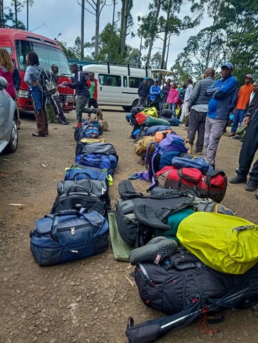 Requirements for going up Kilimanjaro ?
