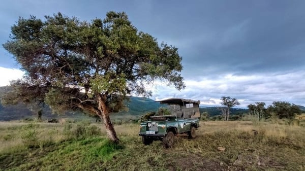 Hills Conservancy, near Nanyuki.