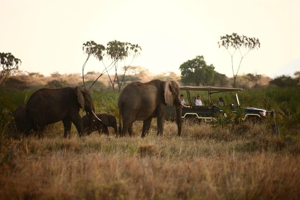 Meru-National-Park