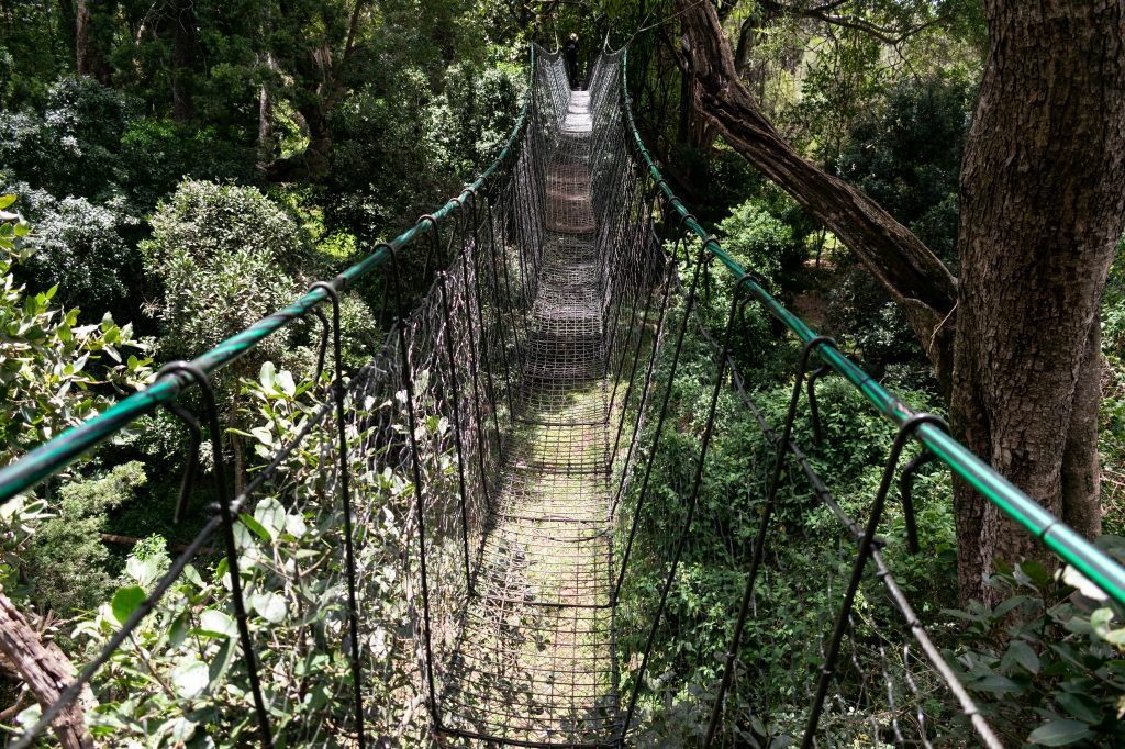 Discovering Kenya's Magical Gems