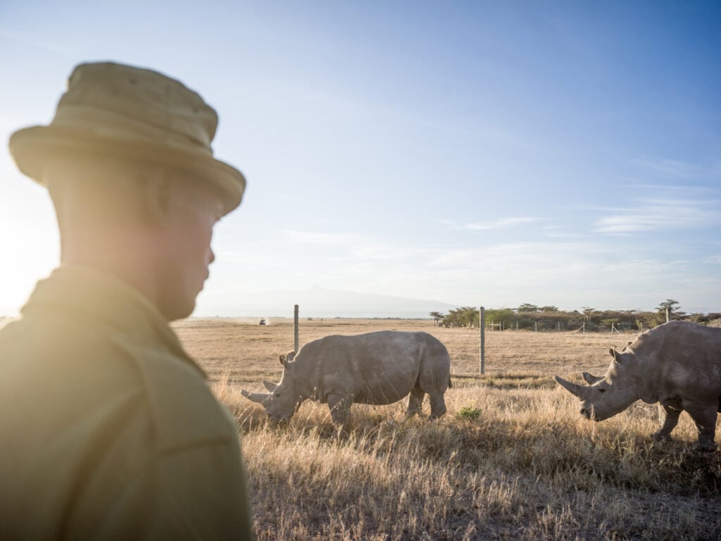 Ol Pejeta Conservancy | Nanyuki