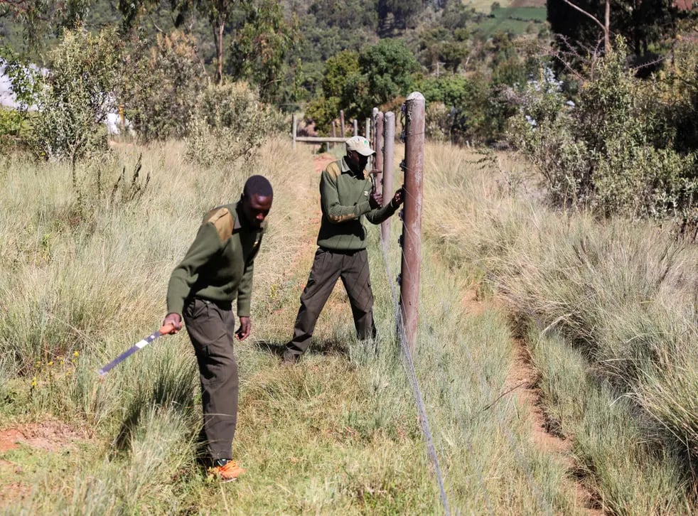 World Rangers Day 2022: Get to Know Your Rangers