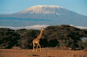 Photo by Encyclopedia Britannica