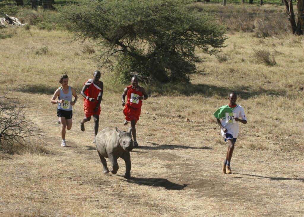 What Makes Lewa Wildlife Conservancy Special?