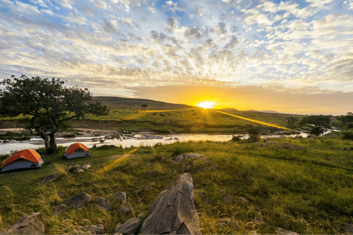magical wild campsites