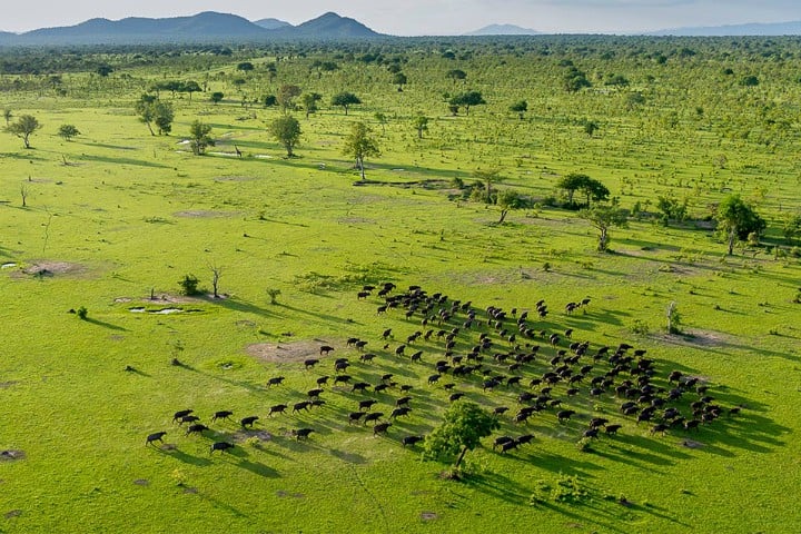 Why We Travel: Contemplating Wanderlust