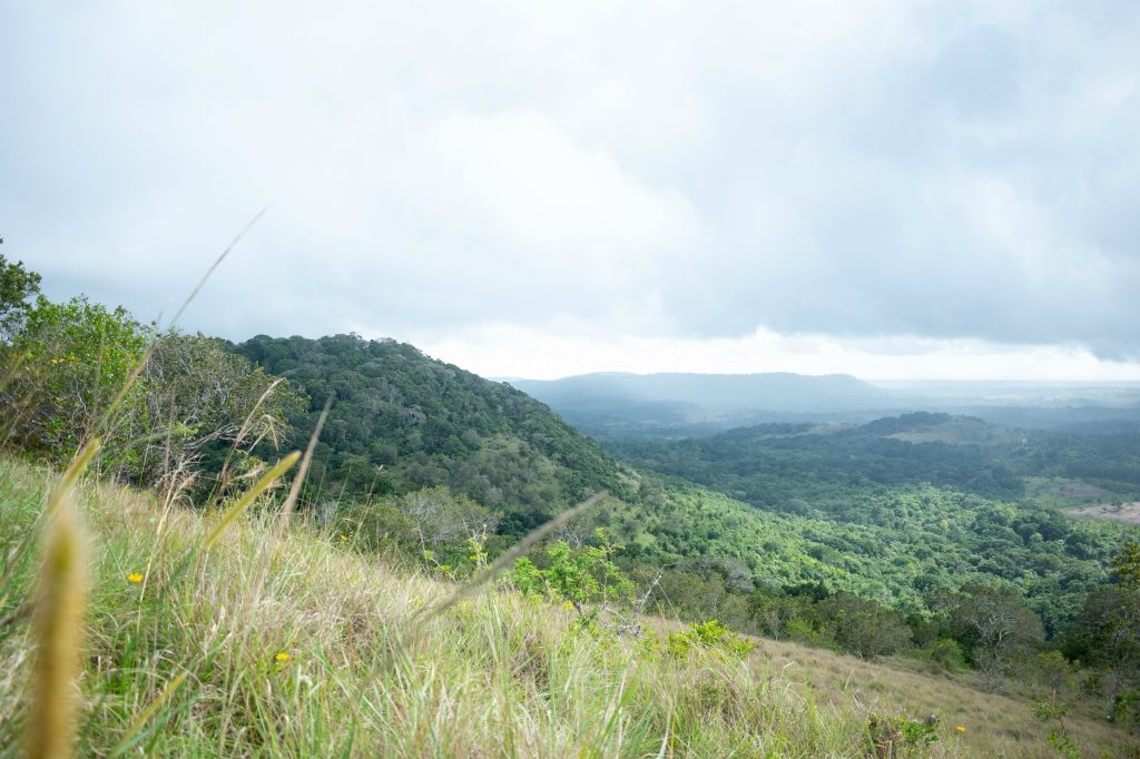 Discovering Kenya's Magical Gems