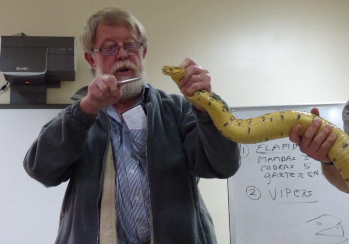 What’s the best place to go looking for snakes in Kenya?