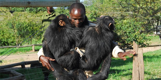 animals rescued from the black market.