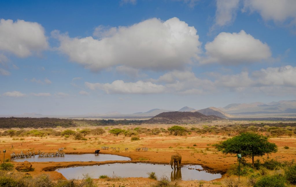 Tsavo West National Park