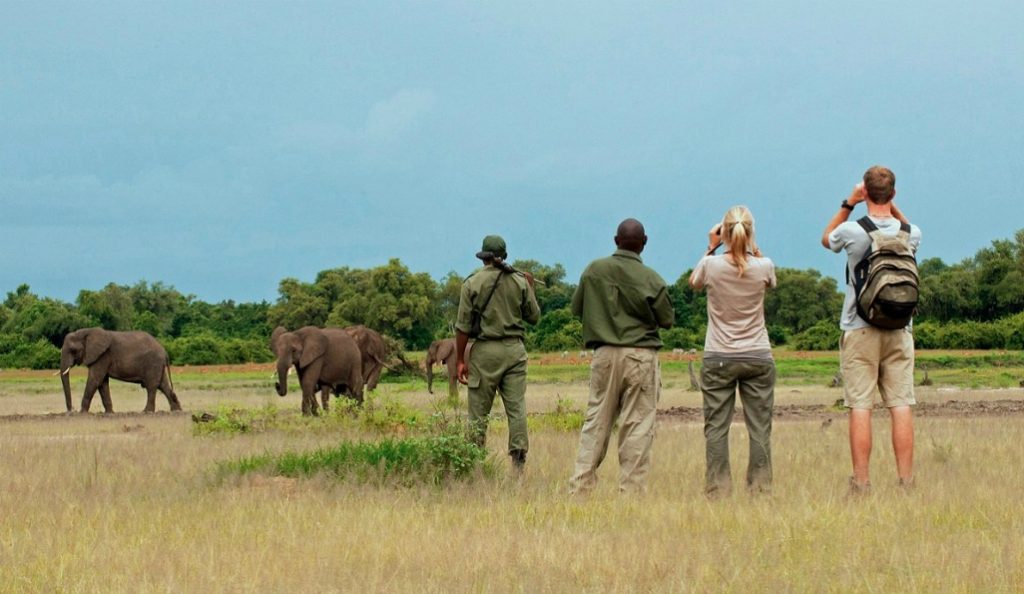 Explore driving Loita Hills with Nomad Africa. Discover adventure, wildlife, and scenic beauty in Kenya's stunning landscapes.