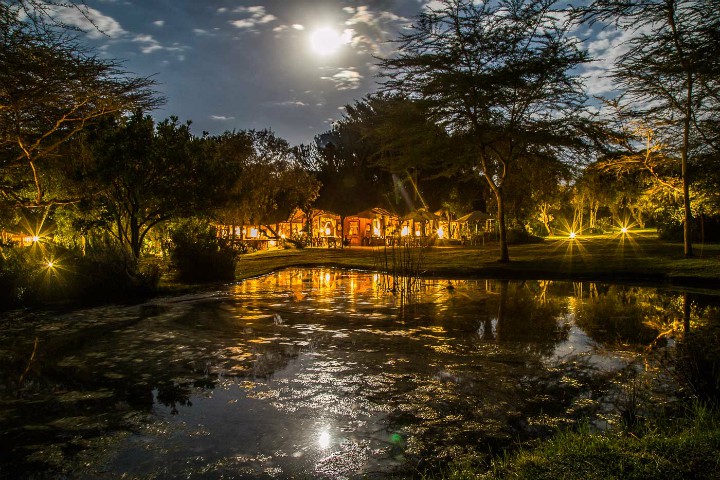 TSAVO SAFARI CAMP