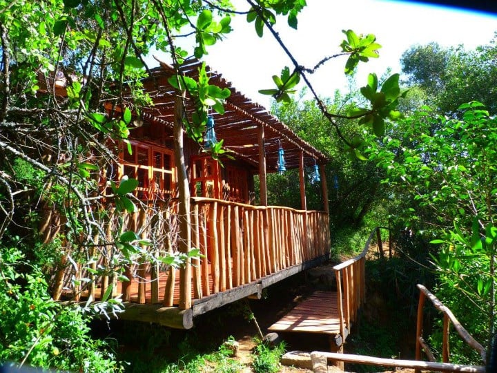colobus-cottages