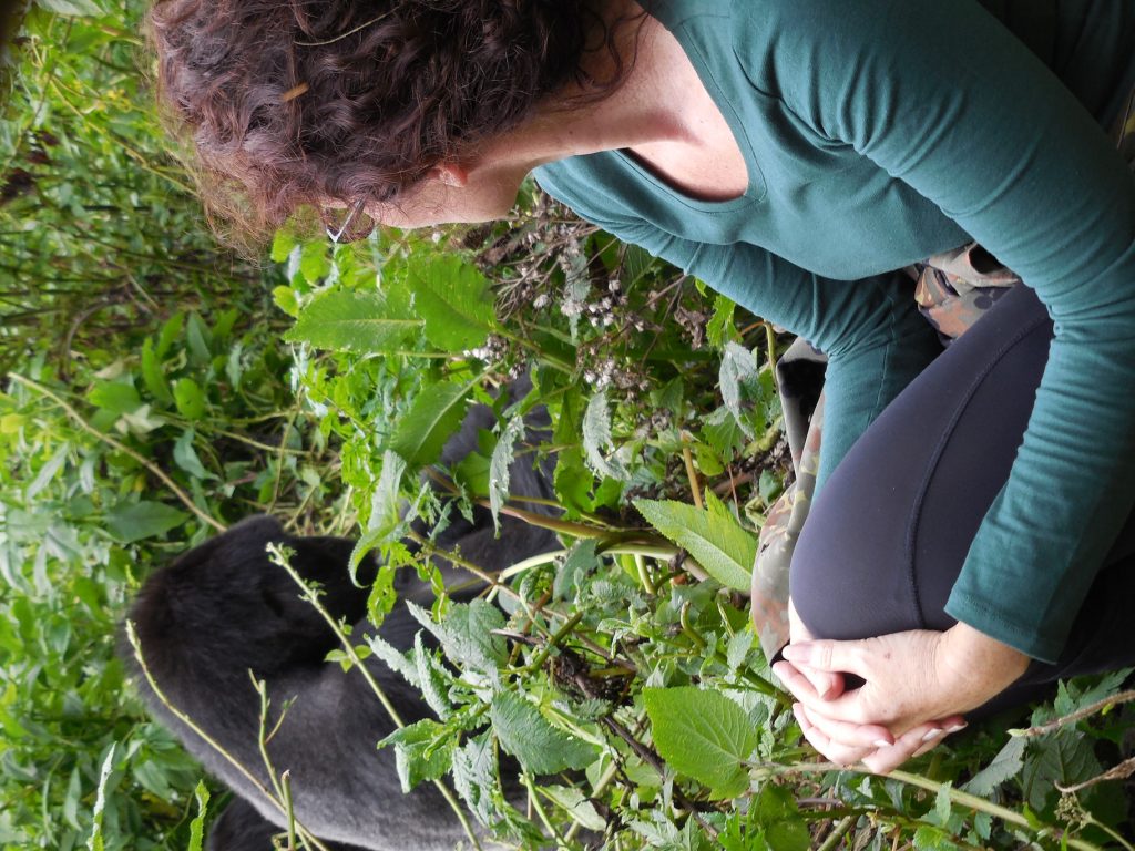 In 2018, the costs for a gorilla tracking permit are: