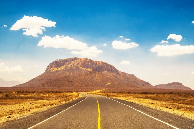 The Great North Road