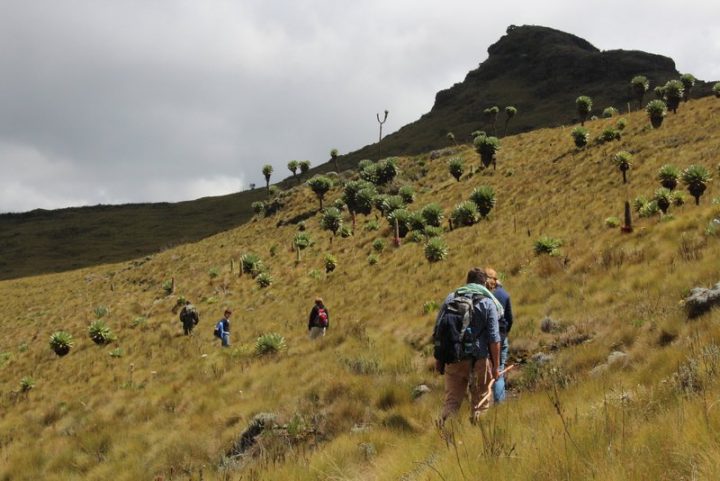 4. Mountain trek at Mt Lesatima