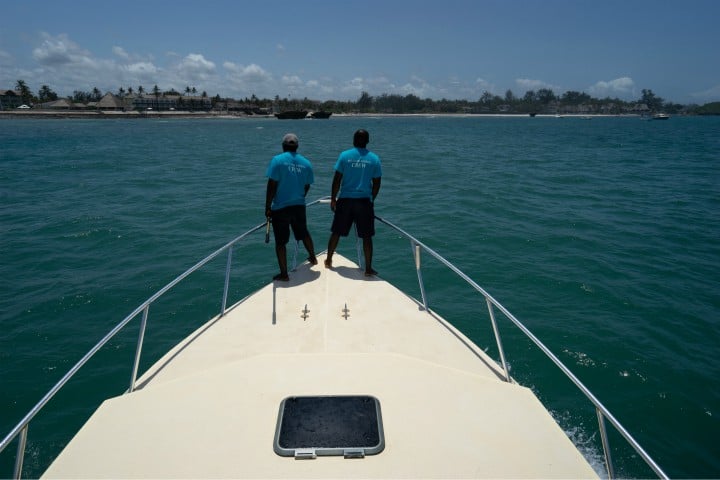 Finding Humpback Whales