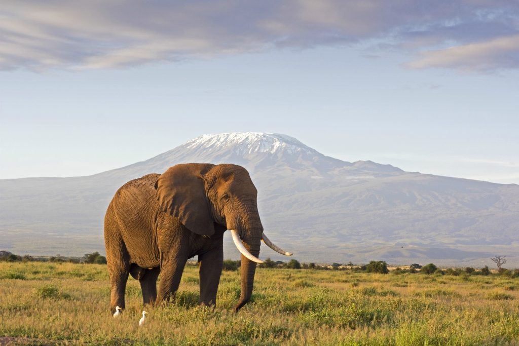 Amboseli National Park