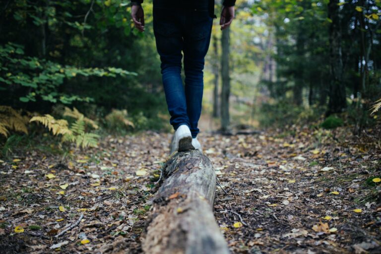 Go On A Nature Walk