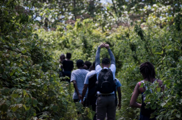 2. Forest Hike at the foothills of Mount Kenya
