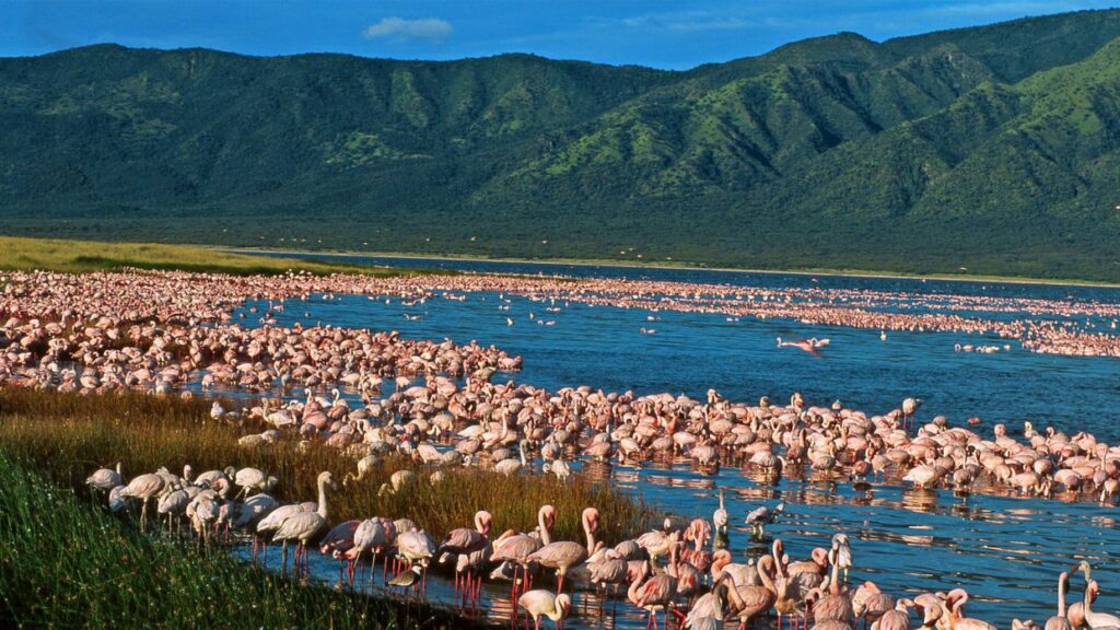 Soysambu Conservancy
