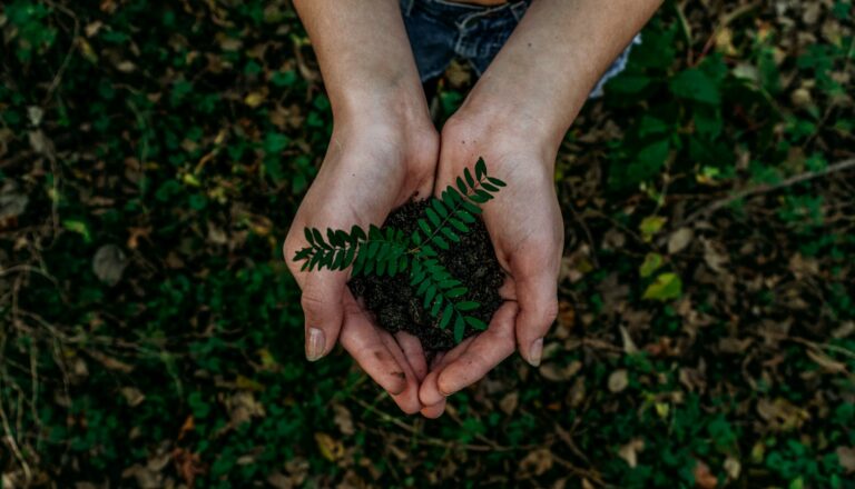 Learn 5 ways to select sustainable accommodation with Nomad Africa. Explore conscious travel, eco-friendly options, and responsible tourism.