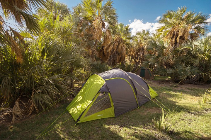 Palm Shade Resort