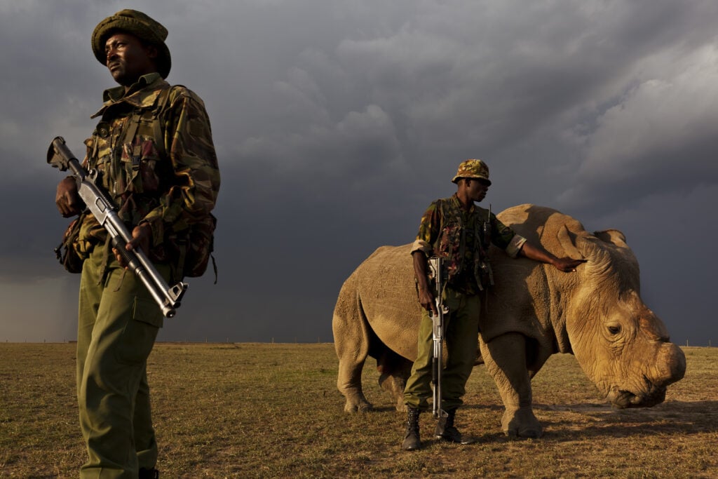 World Rangers Day 2022: Get to Know Your Rangers