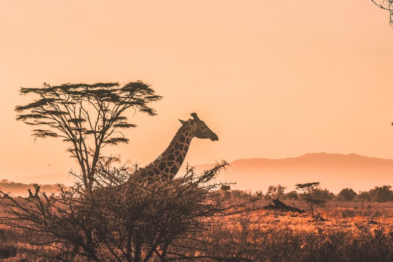 Top 5 Most Beautiful Sundowner Spots In Kenya
