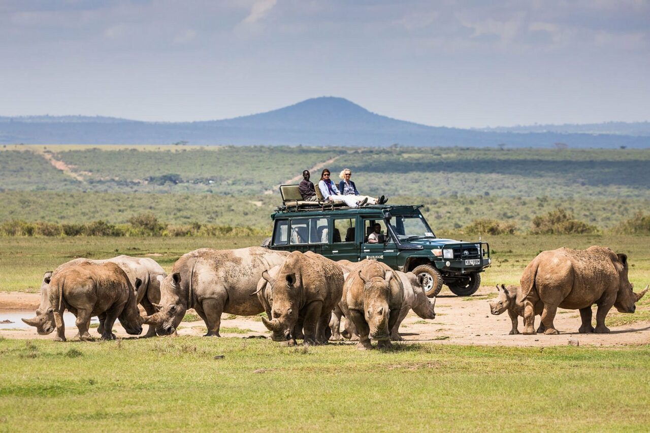 the Aberdare National Park.
