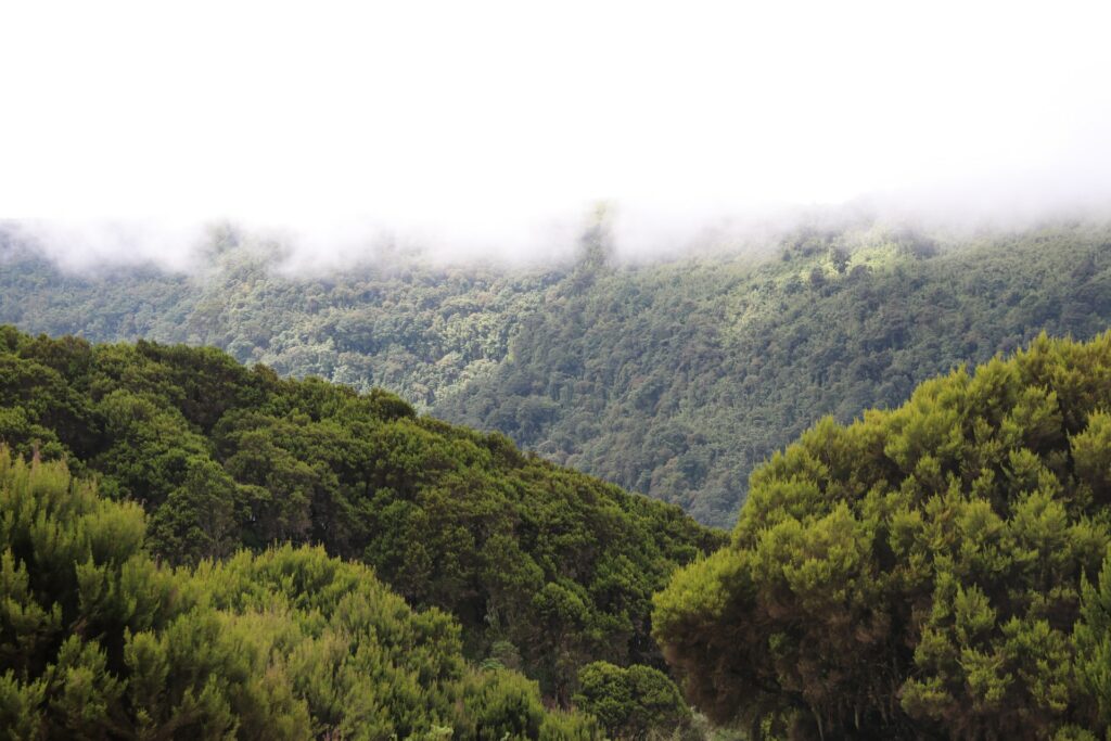 5 Reasons To Try A Mountain Retreat Next