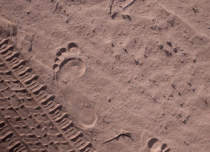 1. A Great Way to Reduce Your Carbon Footprint while on Safari