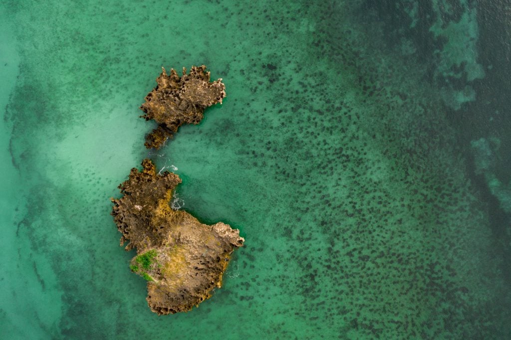 7 Ways We Can All Help: World Oceans Day 2023