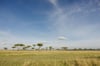SpinneyontheMara-2343