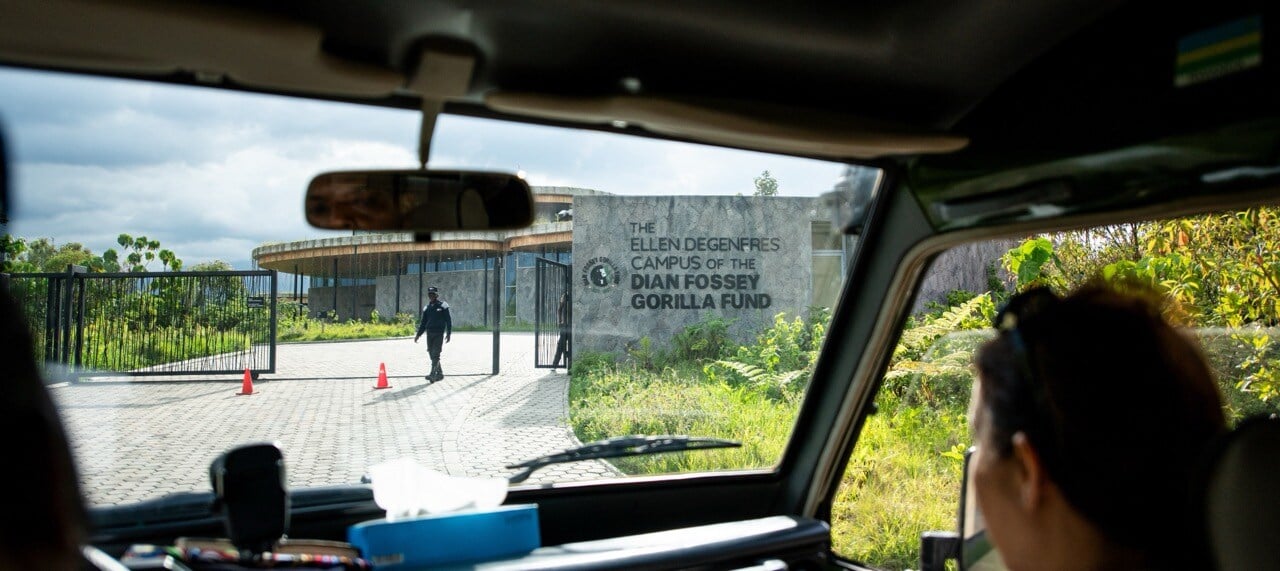 dian fossey 1 Large
