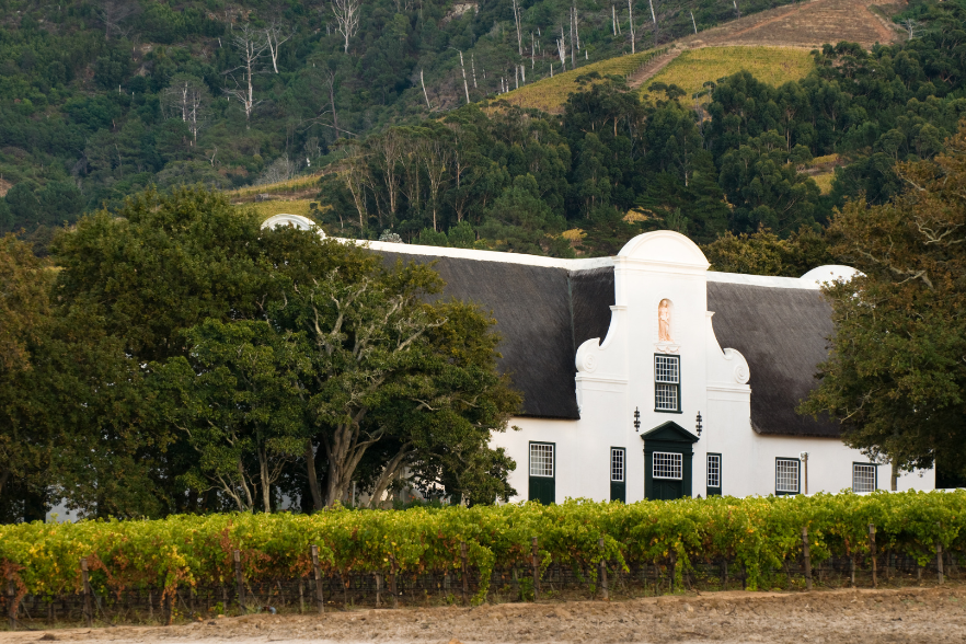 grootconstantia