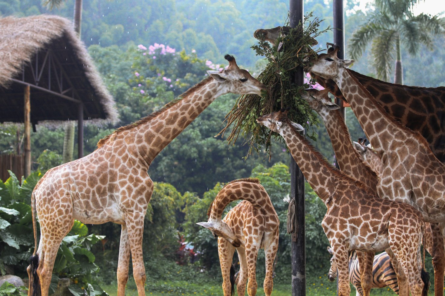 Best Places to Visit in Kenya August: Travel destinations, August attractions, Kenya tourism, popular spots, August travel ideas.